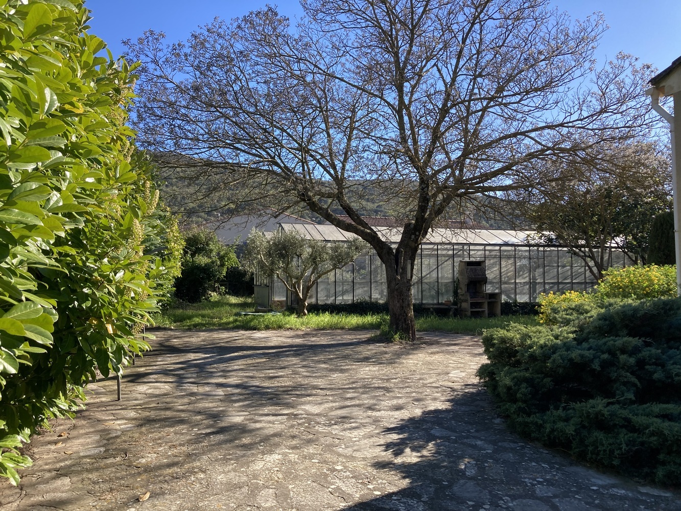 Property view 2