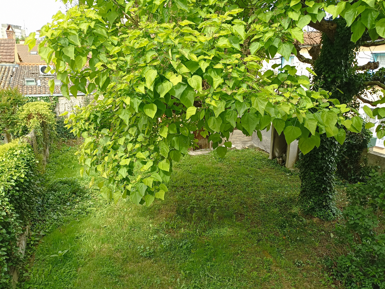 Property view 3
