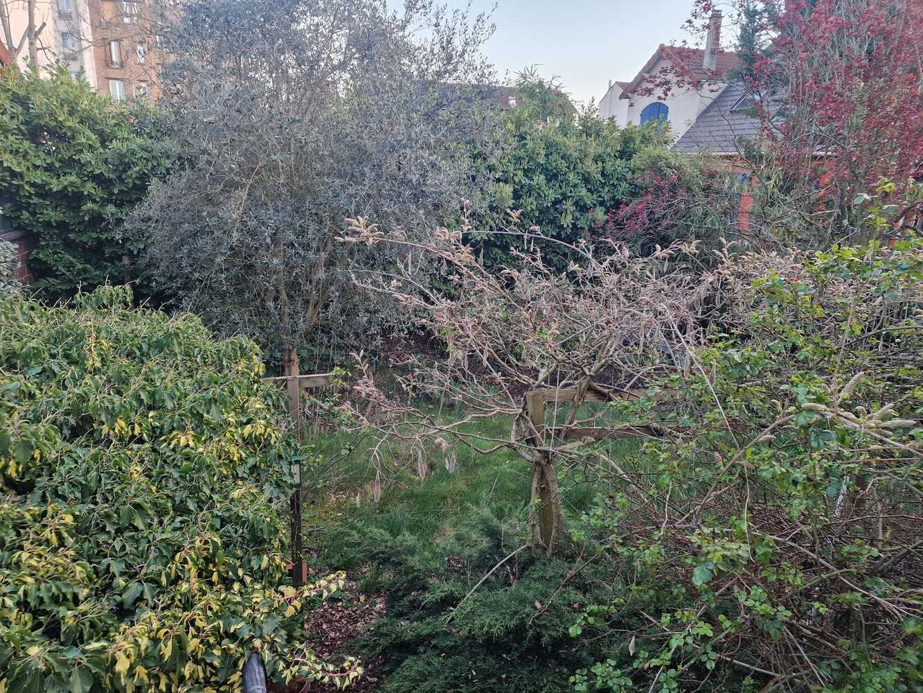 Property view 4