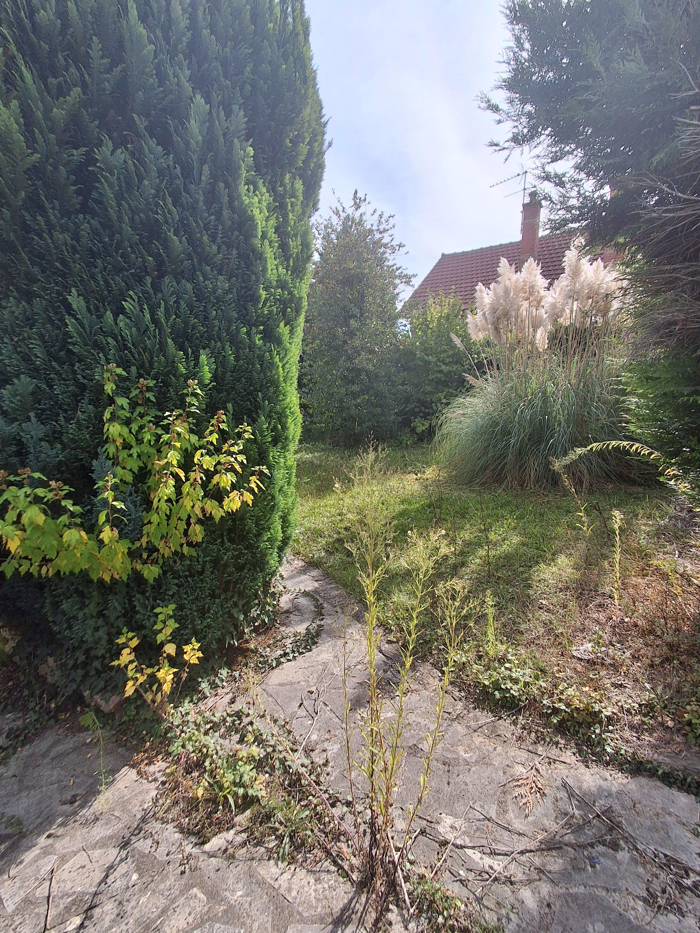 Property view 5
