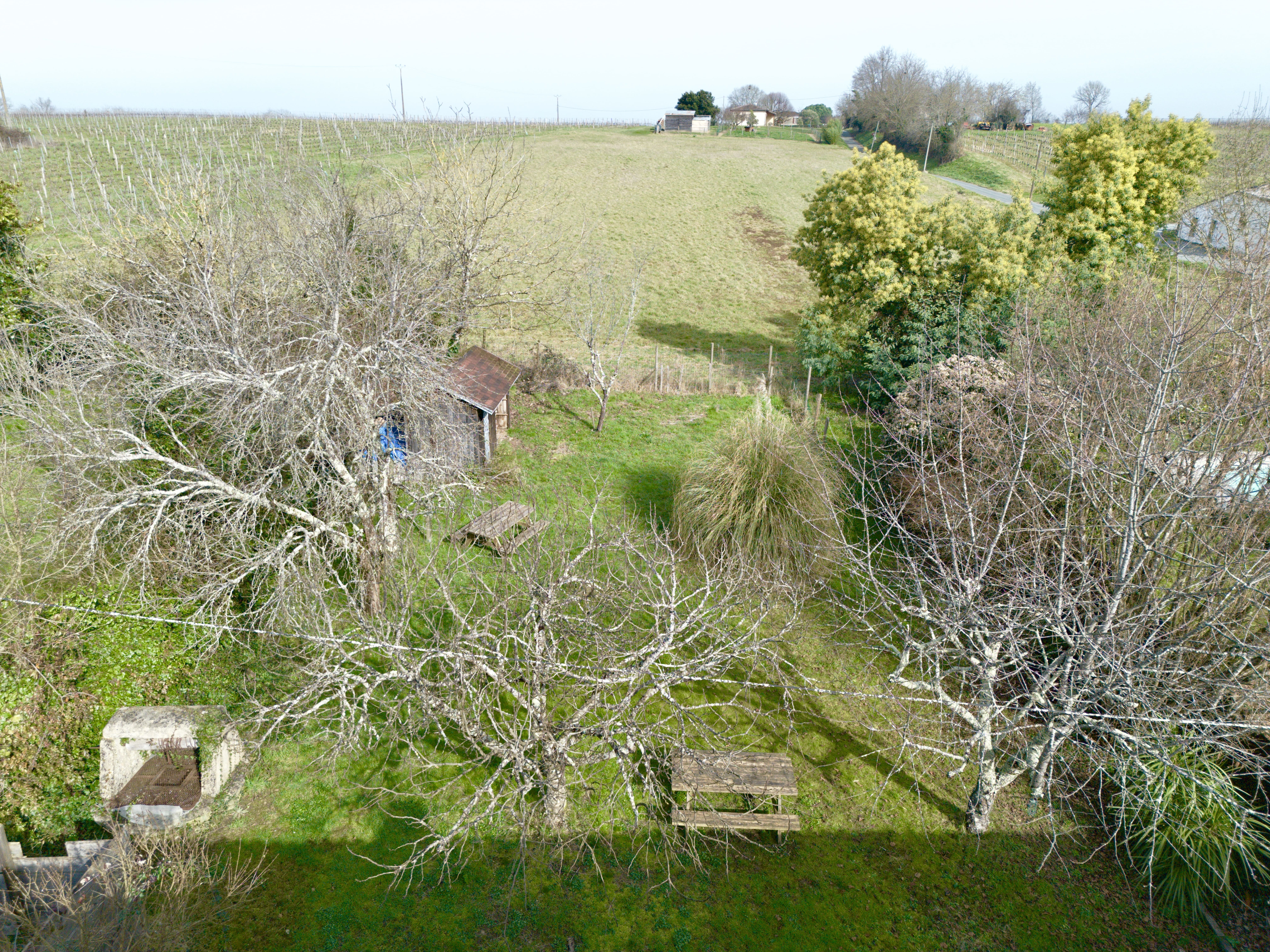 Property view 3