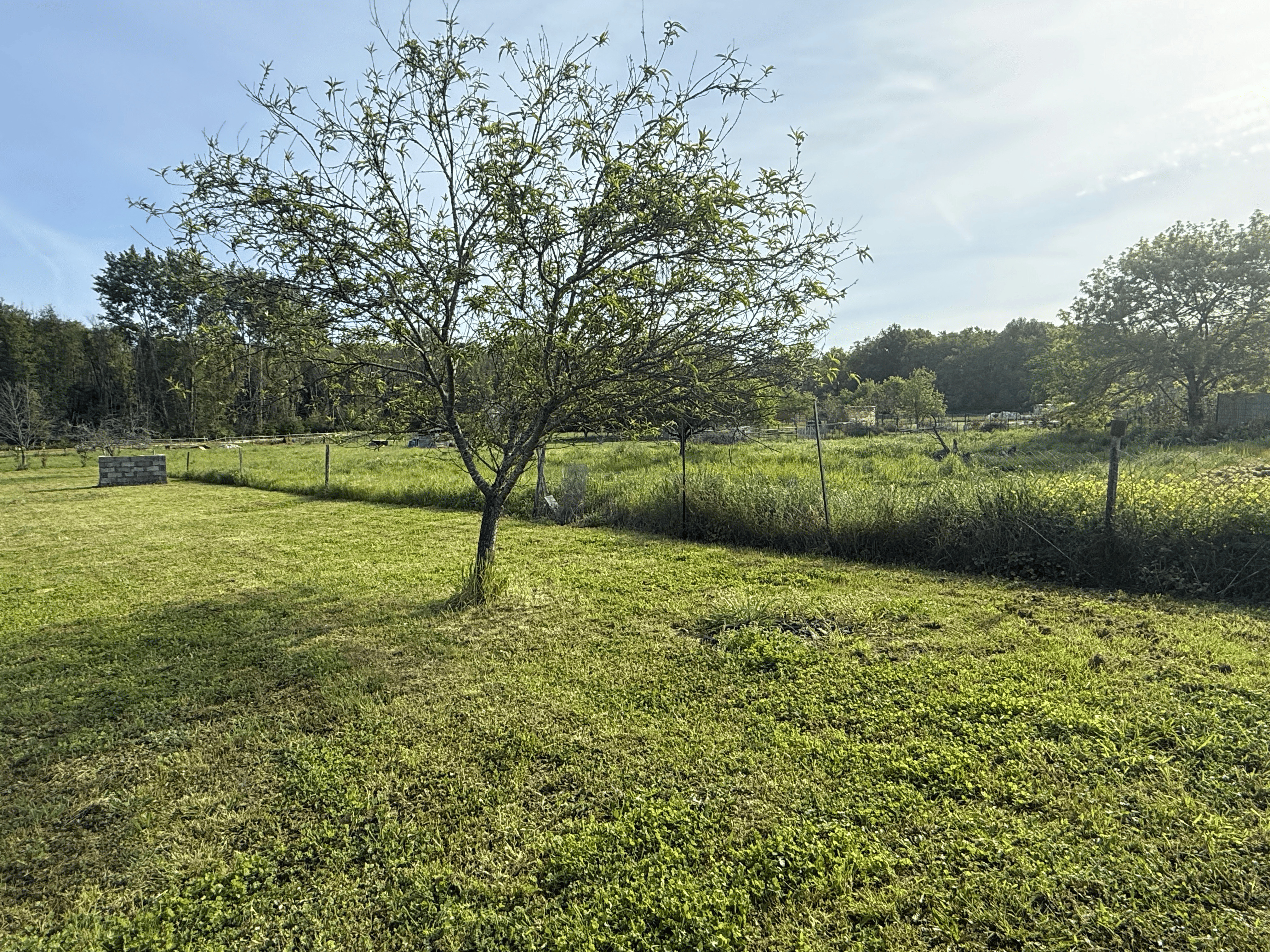 Property view 3