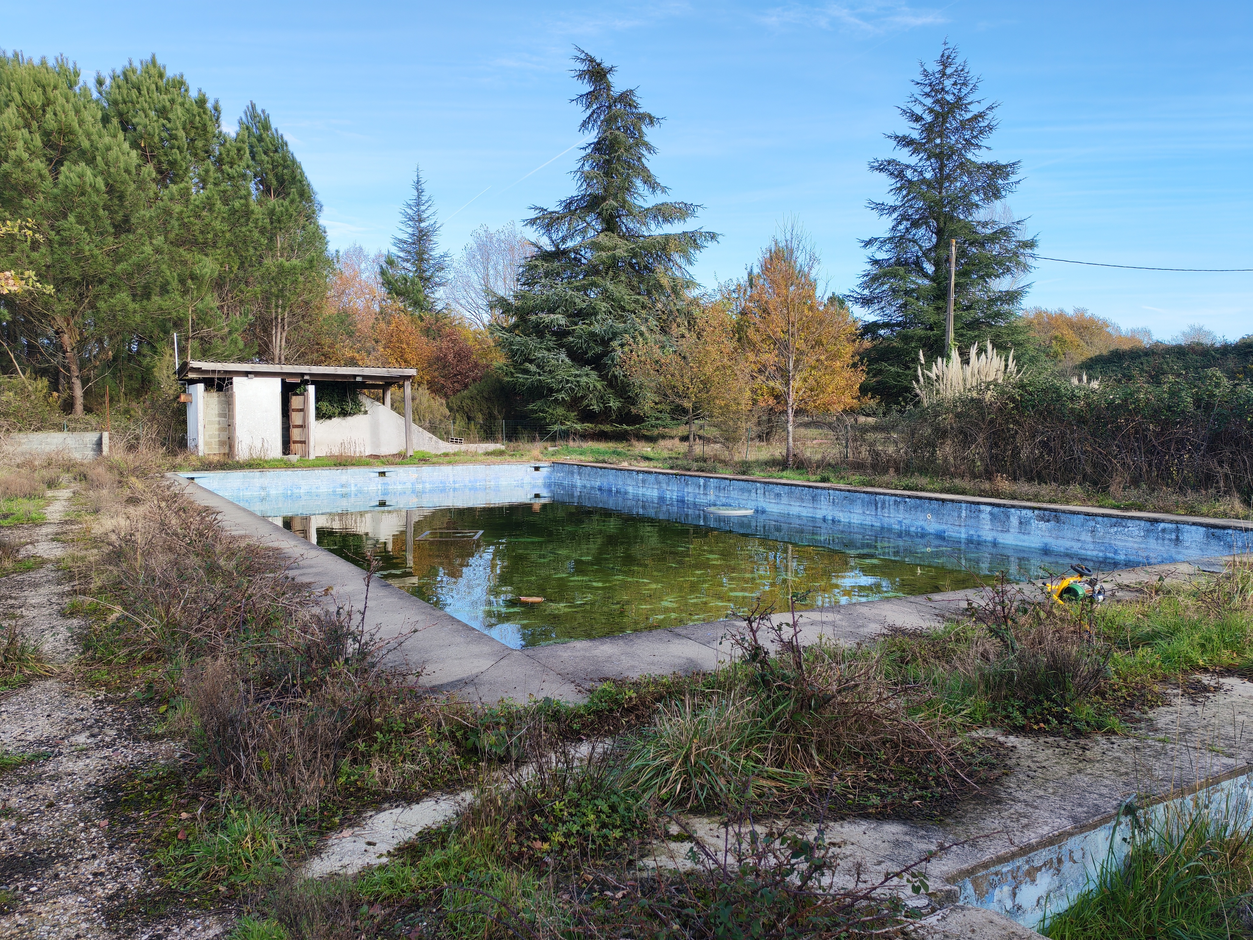 Property view 2