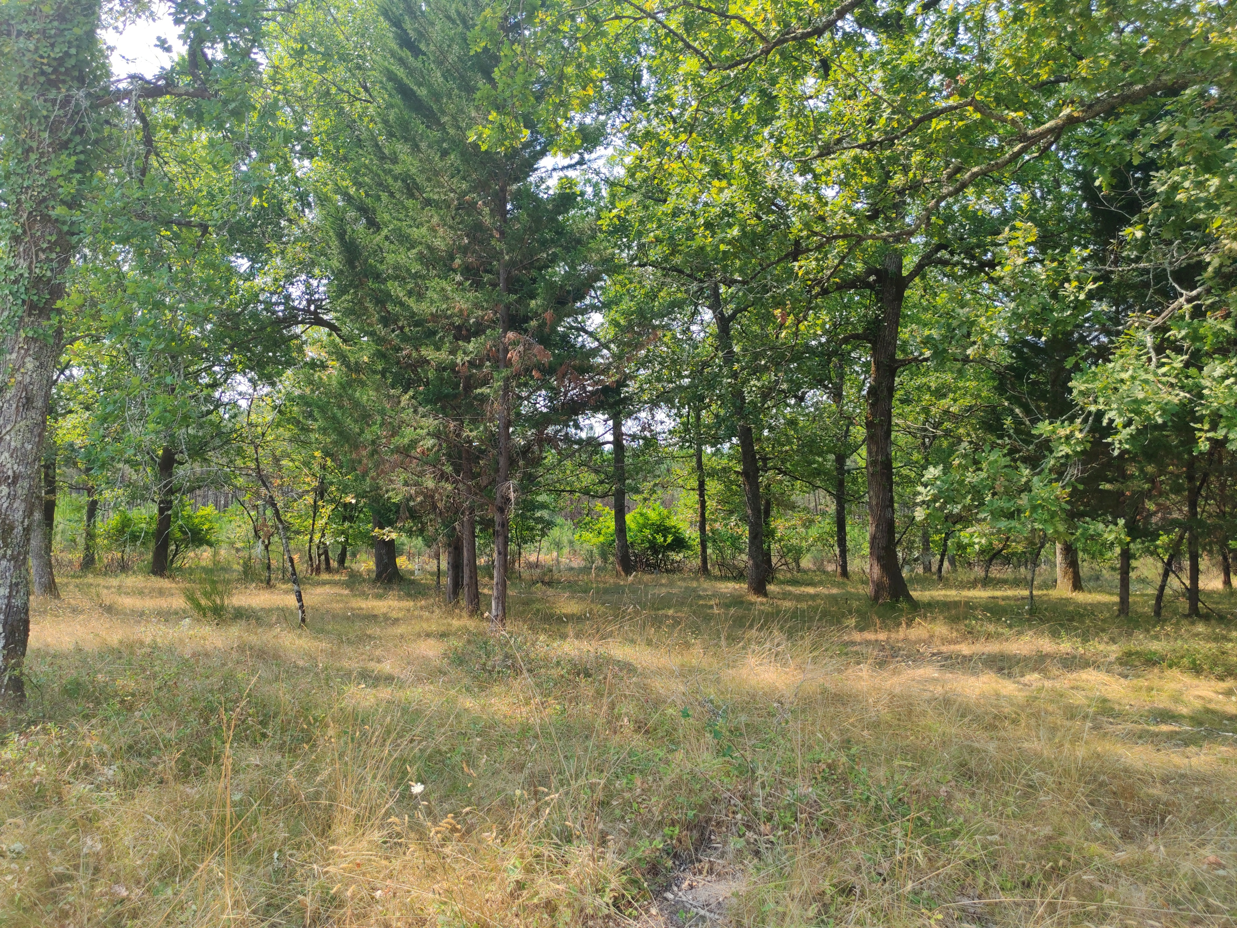 Property view 4