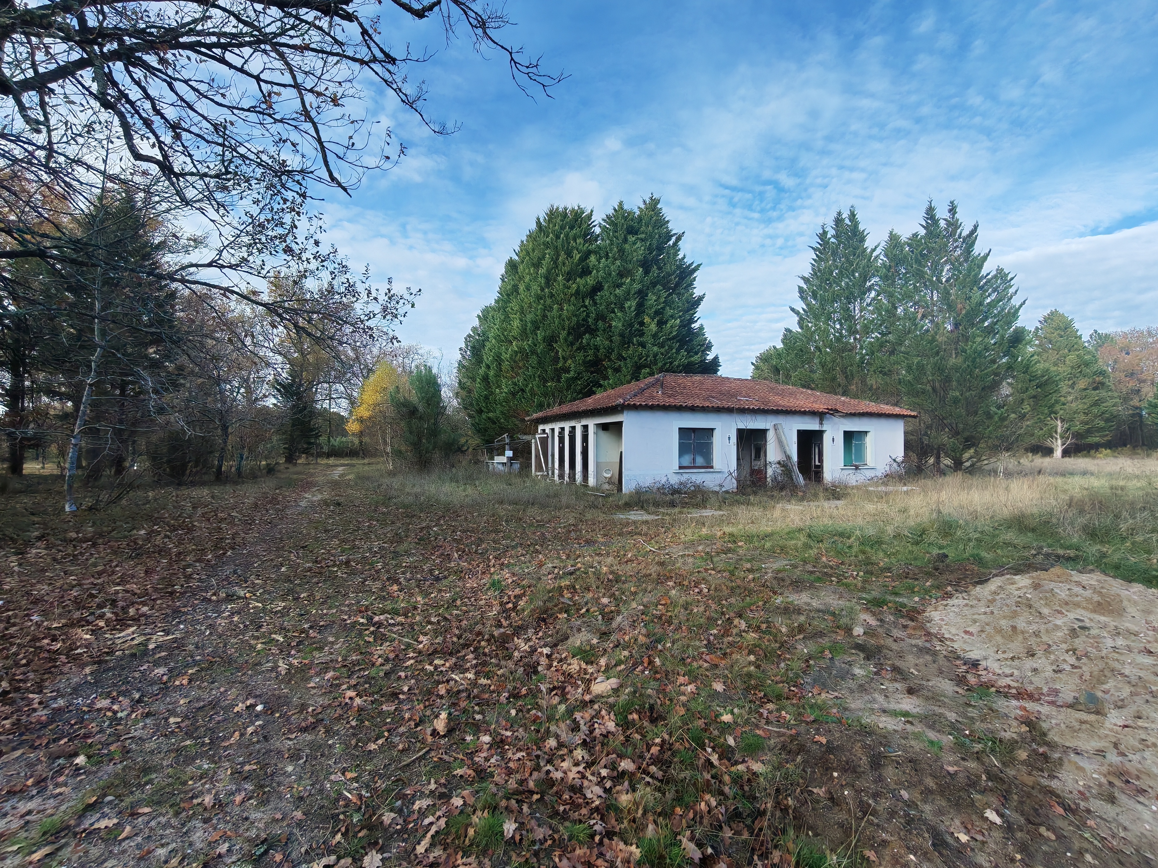 Property view 5