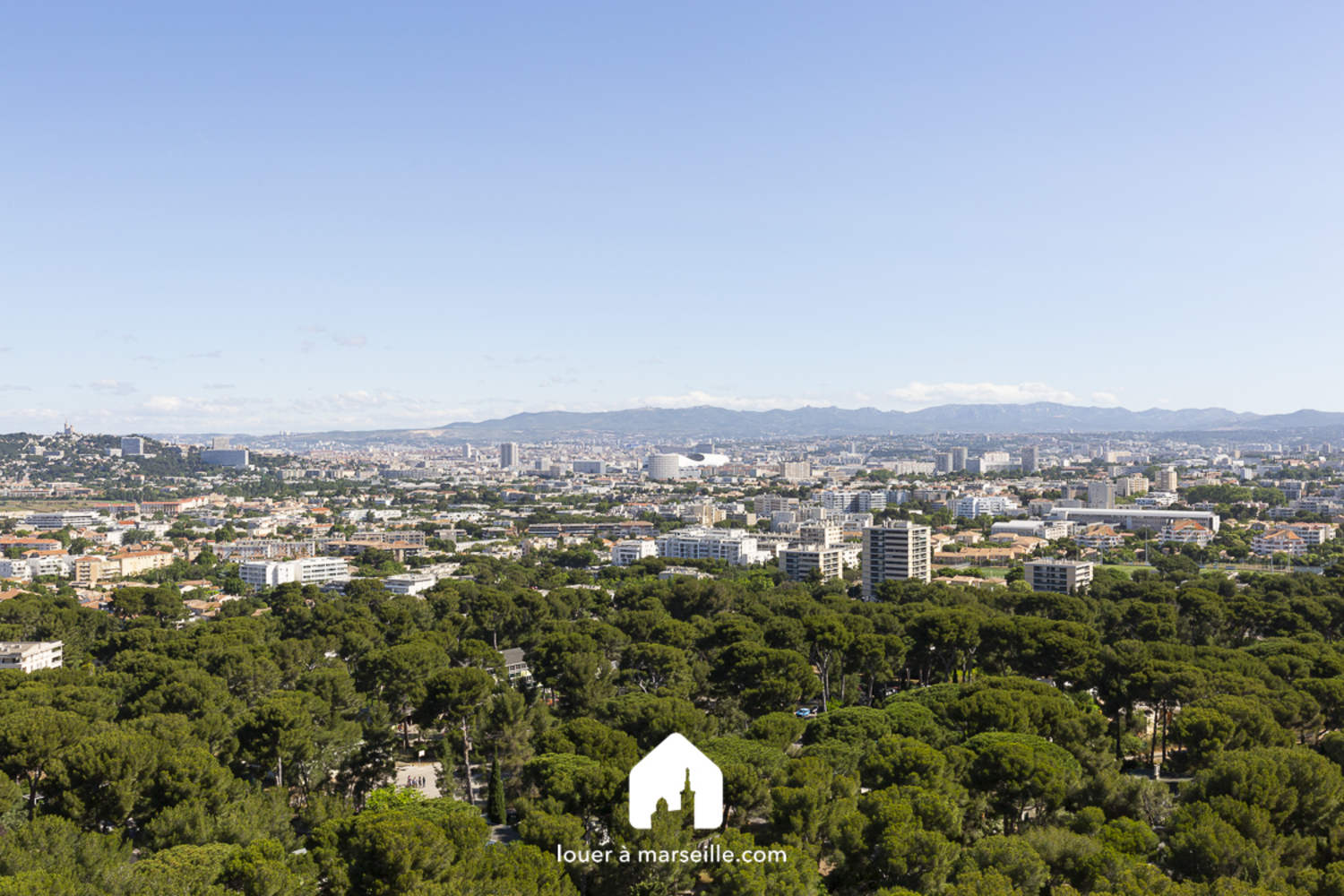 Property view