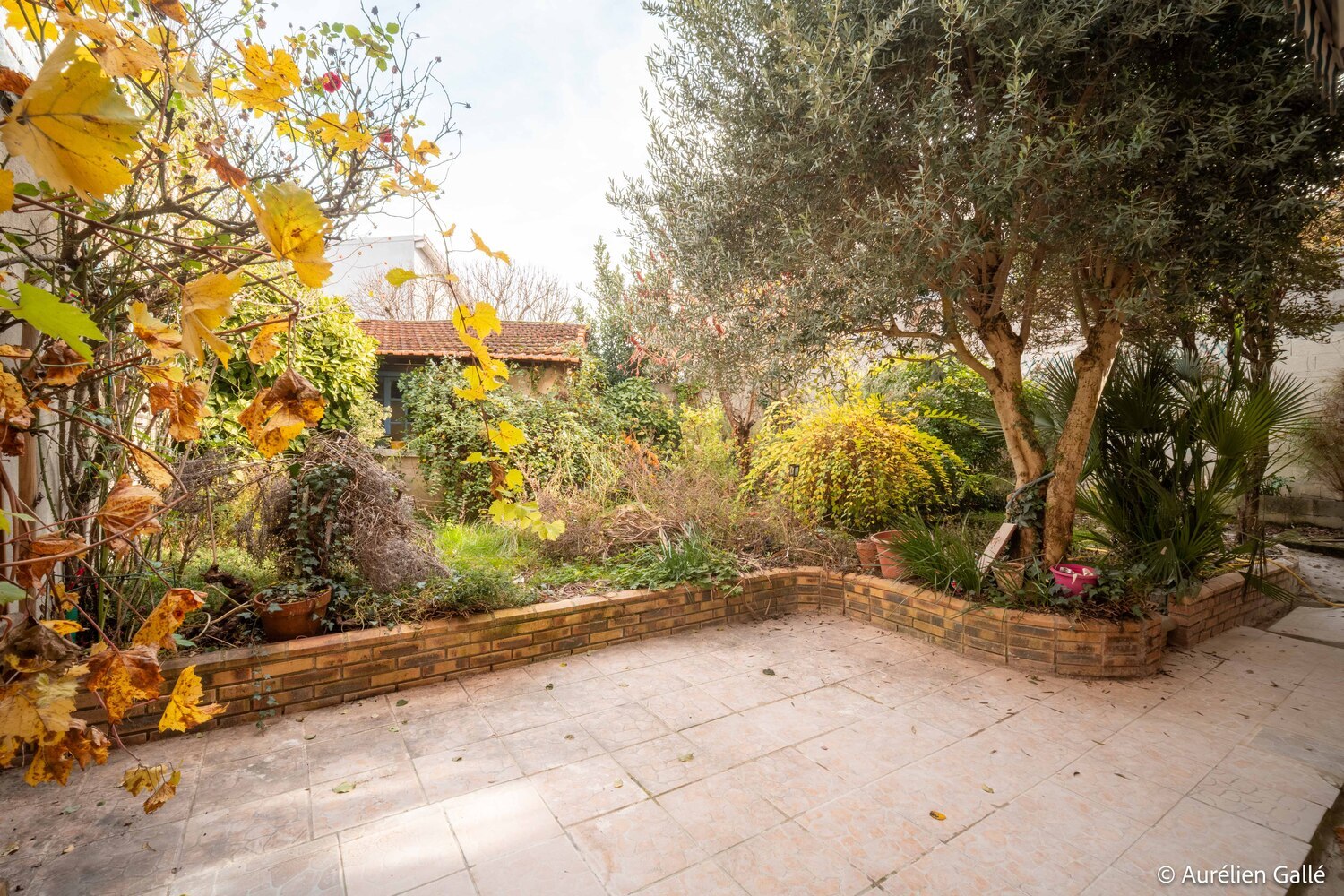 Property view 2
