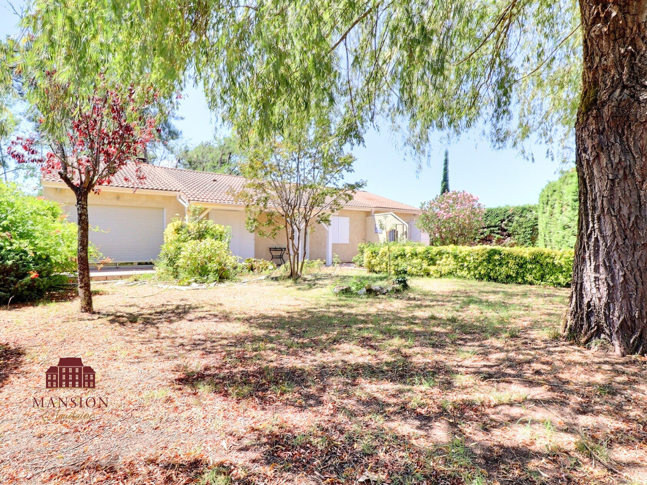 Property view 3