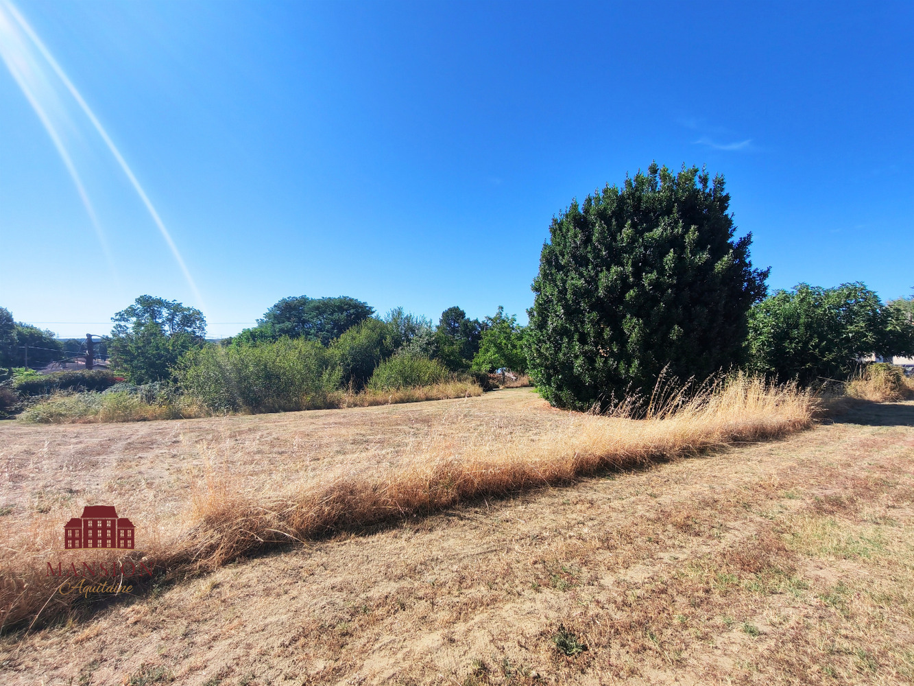 Property view 3