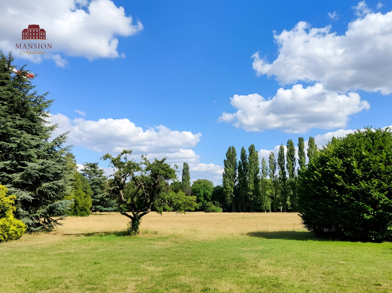 Property view 5