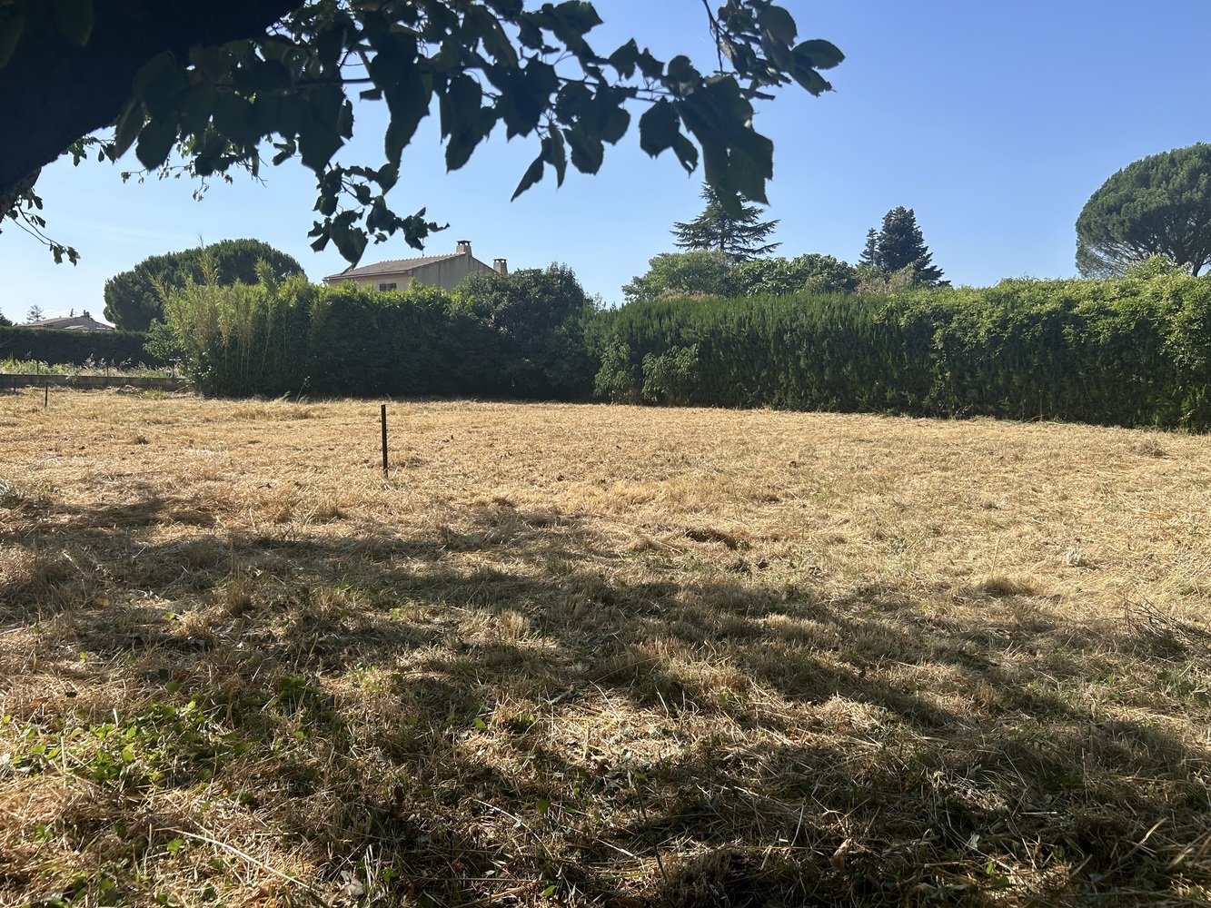 Property view 2