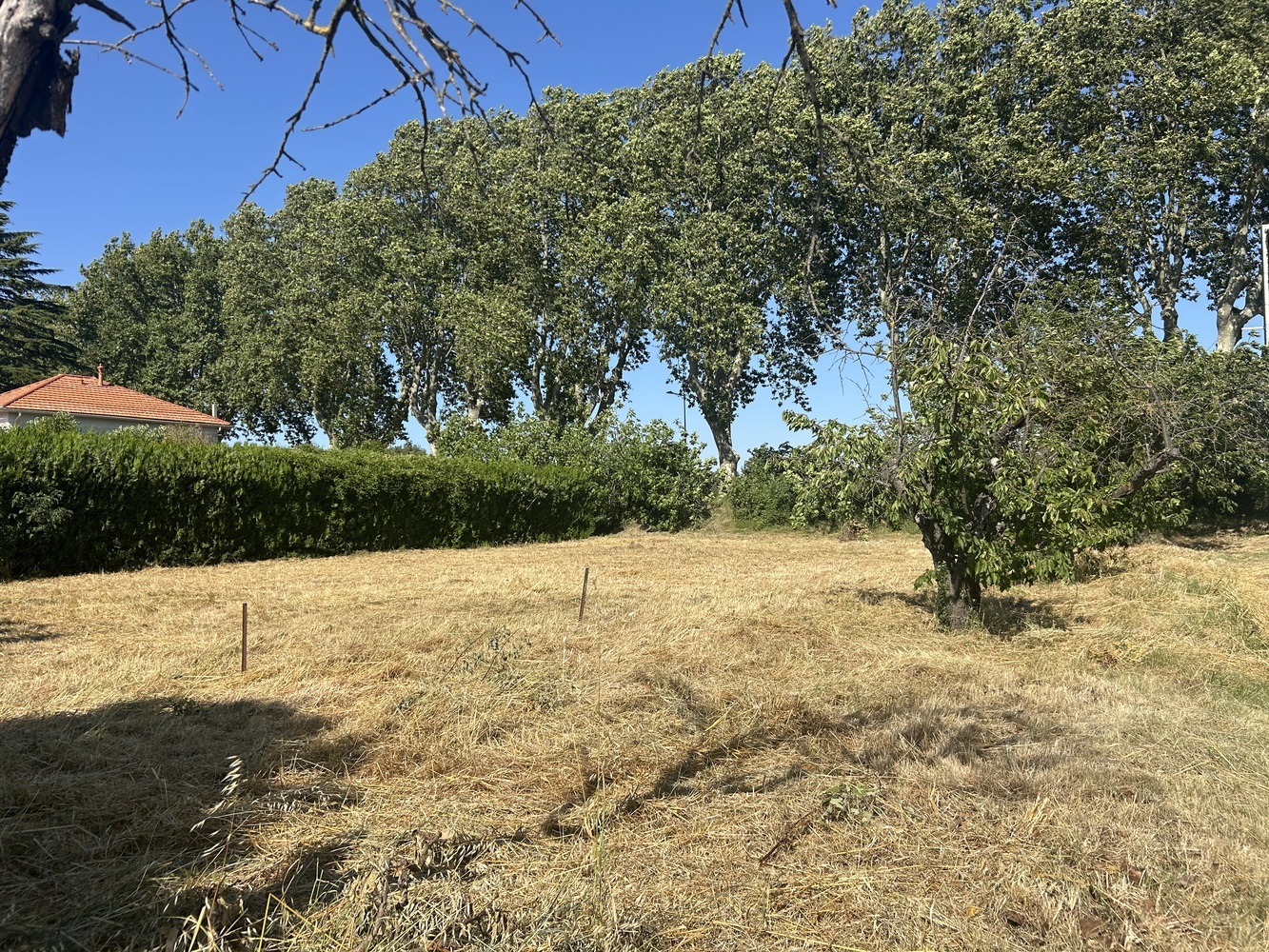 Property view 3
