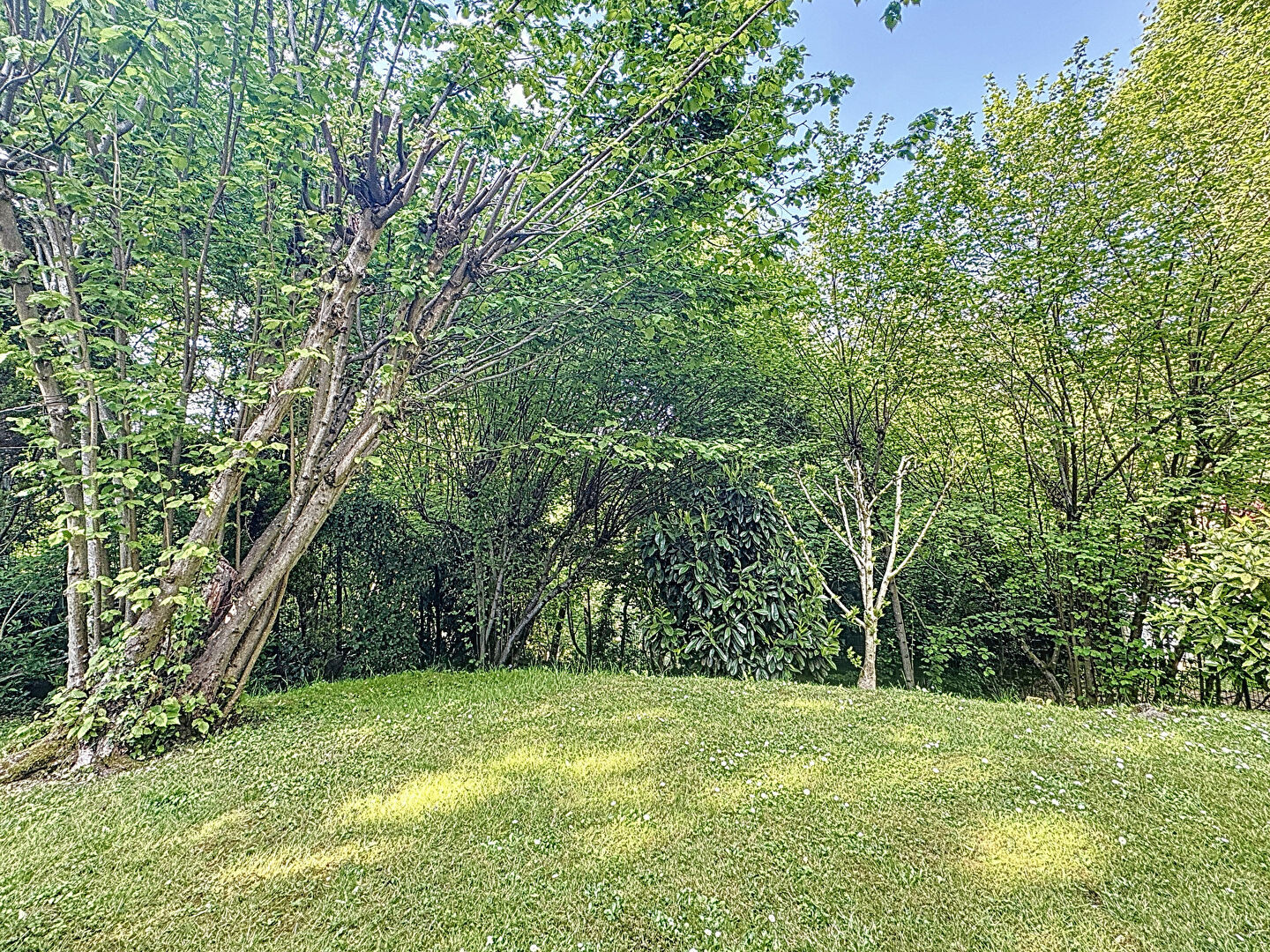 Property view 5