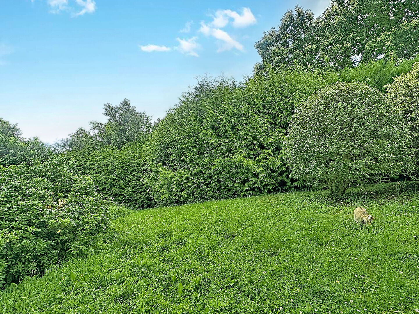 Property view 4