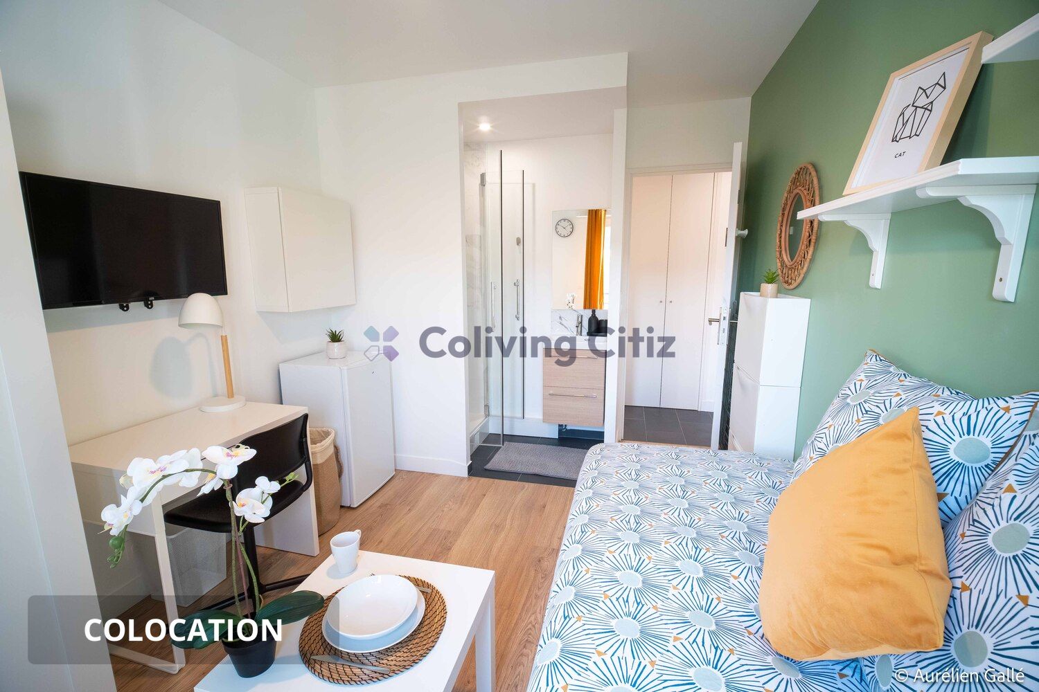 Property view 2