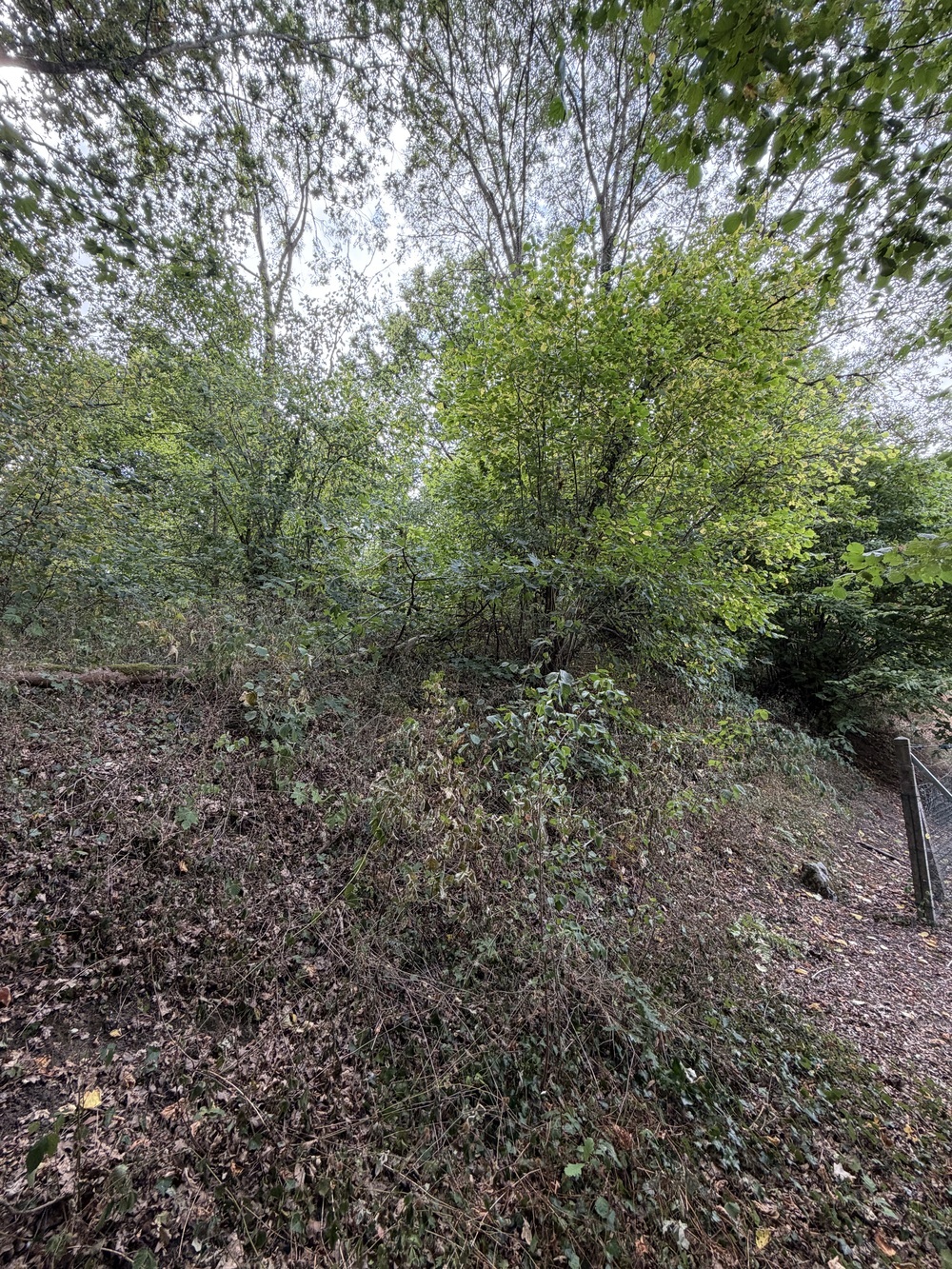 Property view 2