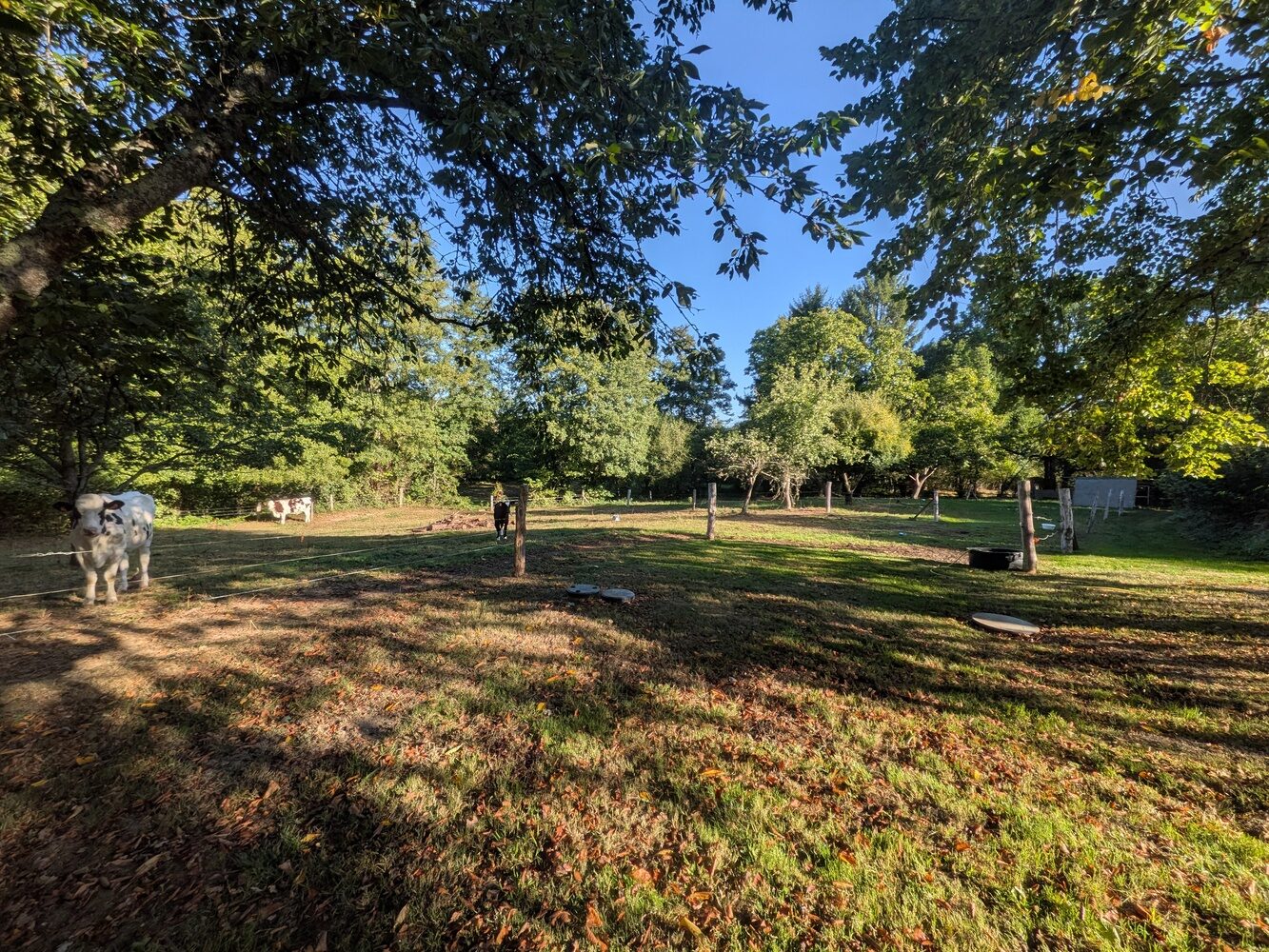 Property view 3