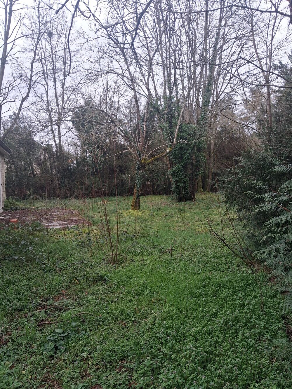 Property view 4