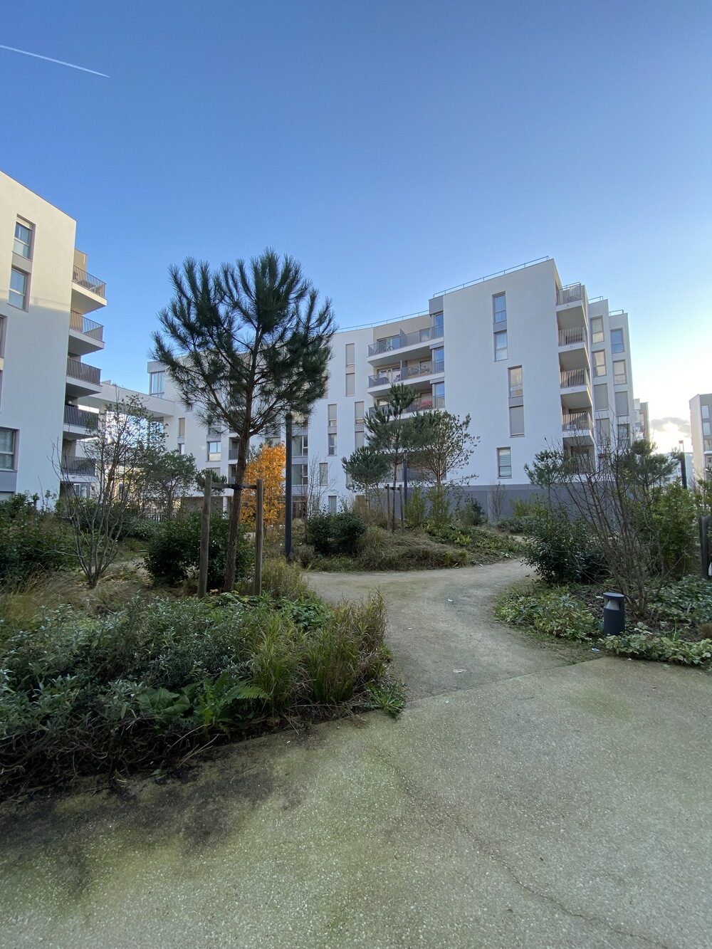 Property view