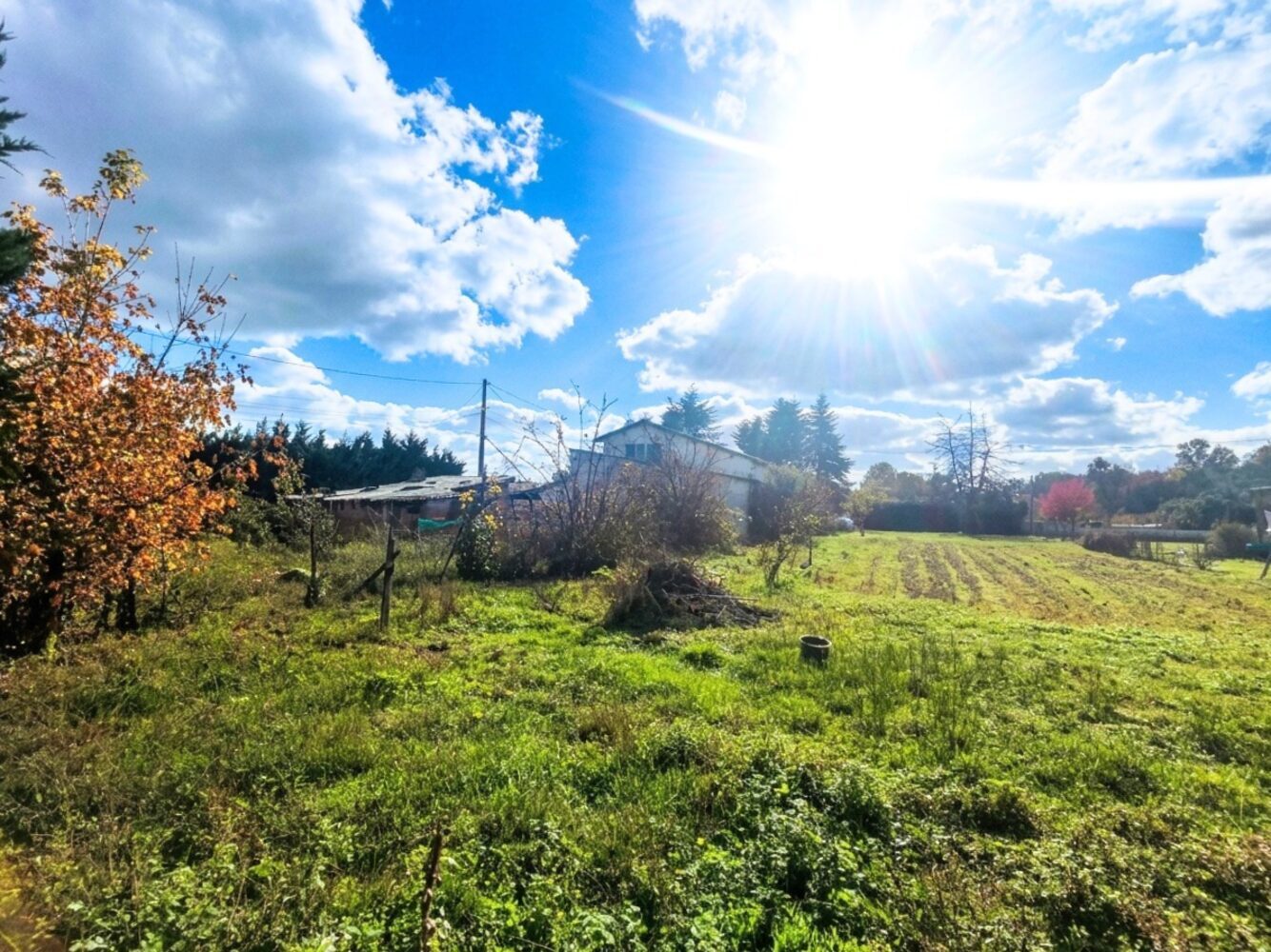 Property view 4