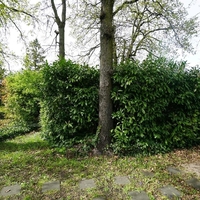 property picture
