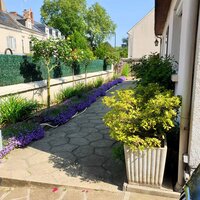 property picture