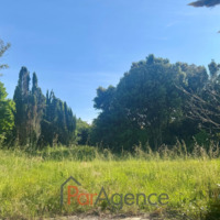 property picture