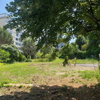 property picture