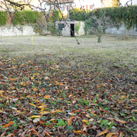 property picture
