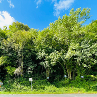 property picture