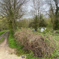 property picture