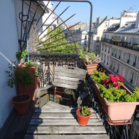 property picture