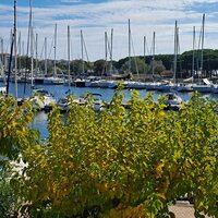 Image du bien en visite référence 77320