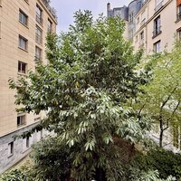 Image du bien en visite référence 77376