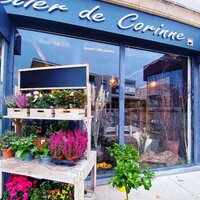 Image du bien en visite référence 77700