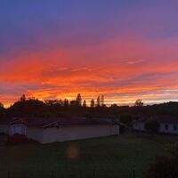 Image du bien en visite référence 82836