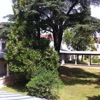 property picture